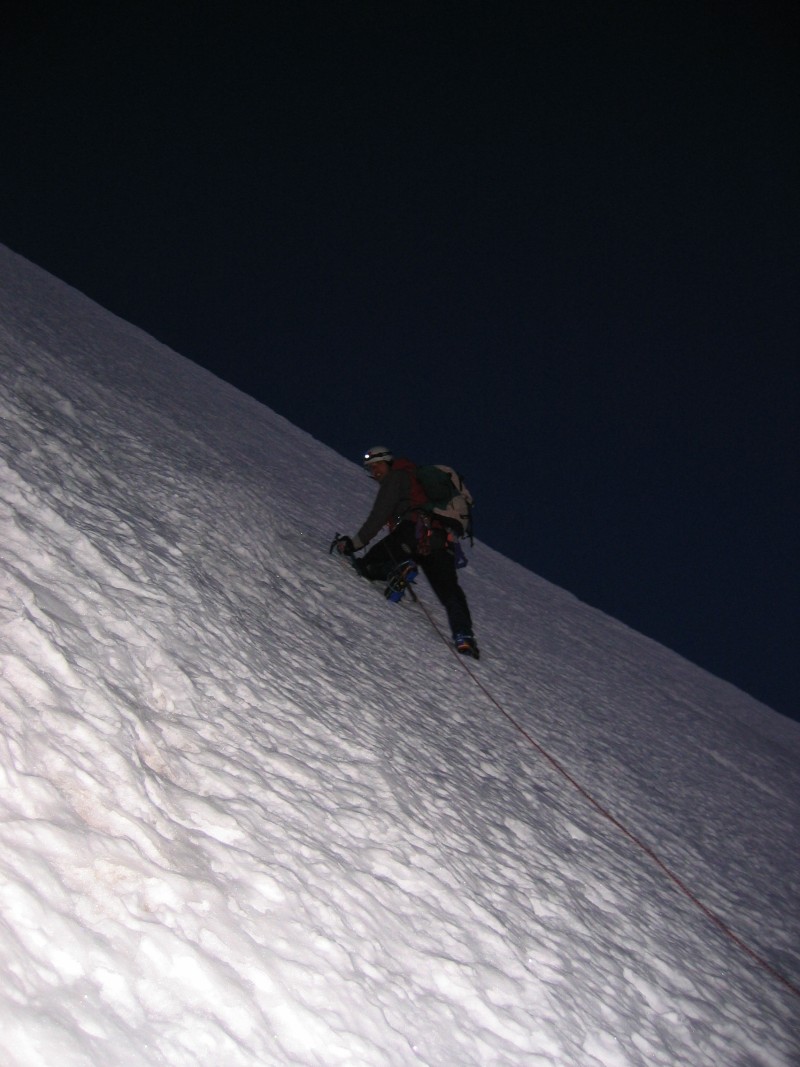 25498-verte-010.jpg