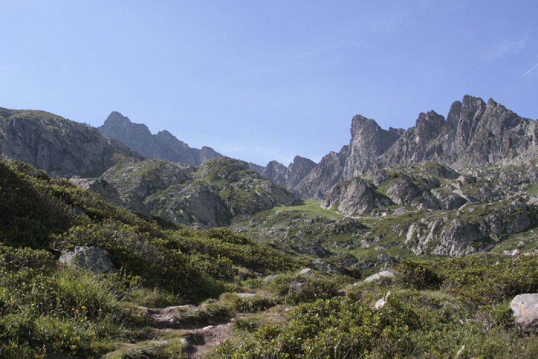 25832-mg5384.jpg