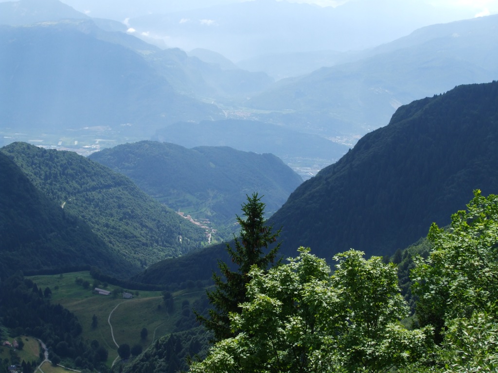 25853-dscf0541x.jpg