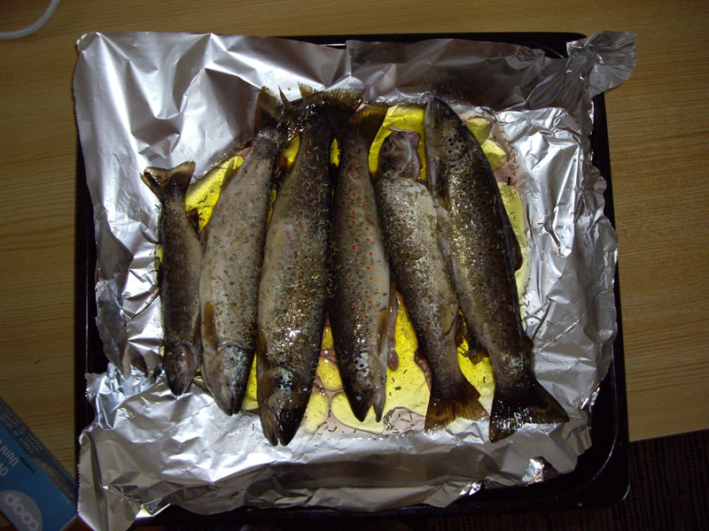 25969-imgp2089.jpg