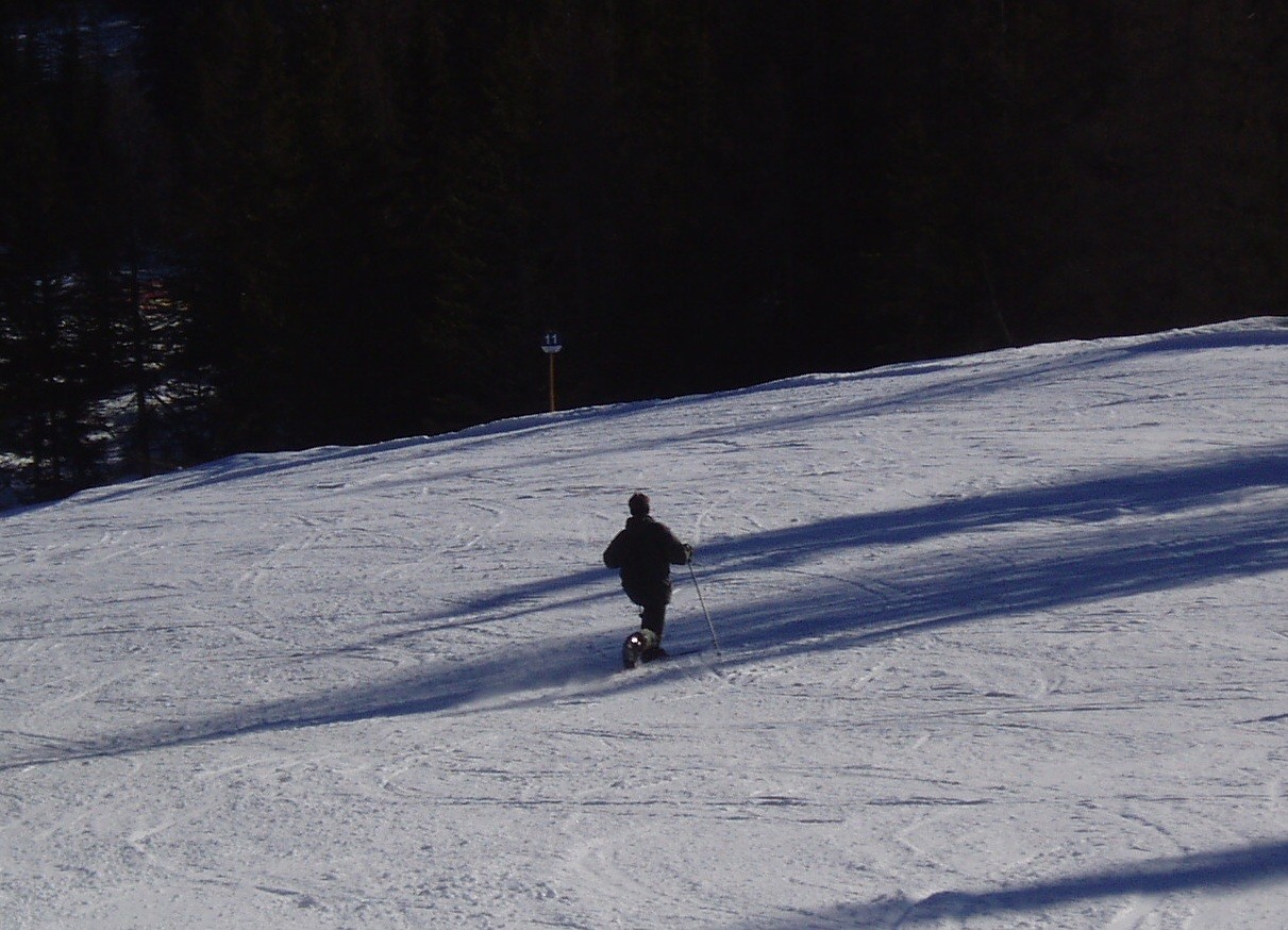 25993-p1110217.jpg