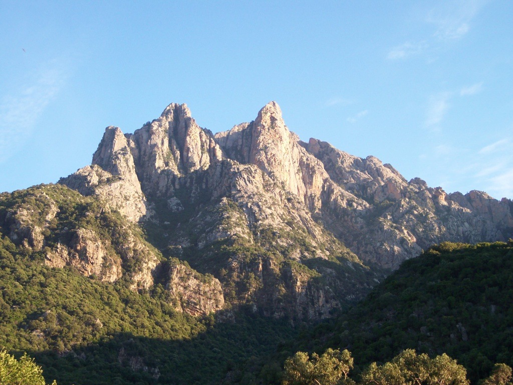 26248-1004111.jpg
