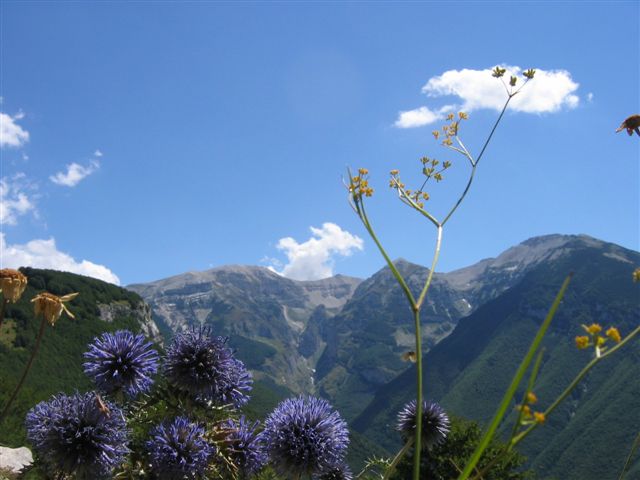 26288-foto-esaro-e-sorgenti-026.jpg