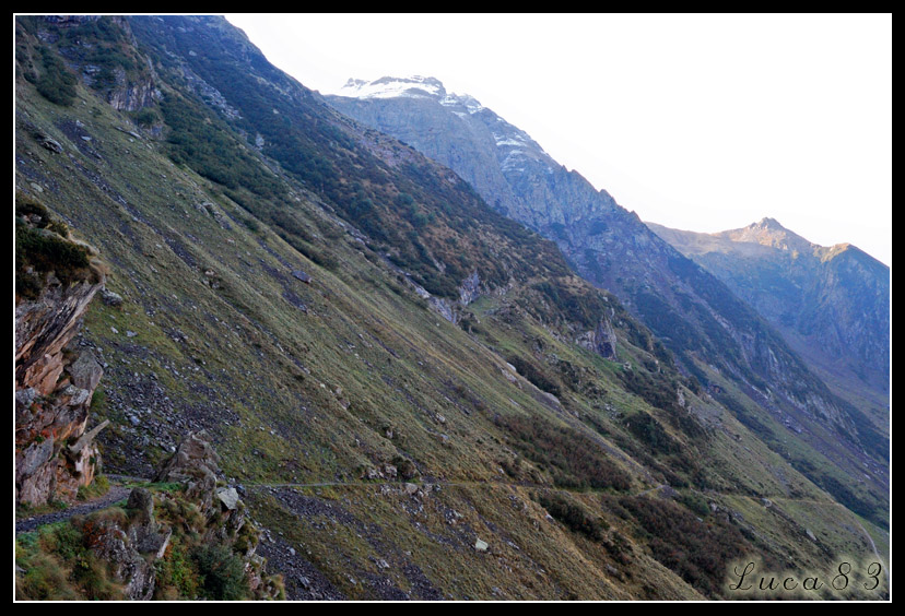27232-dsc3135.jpg