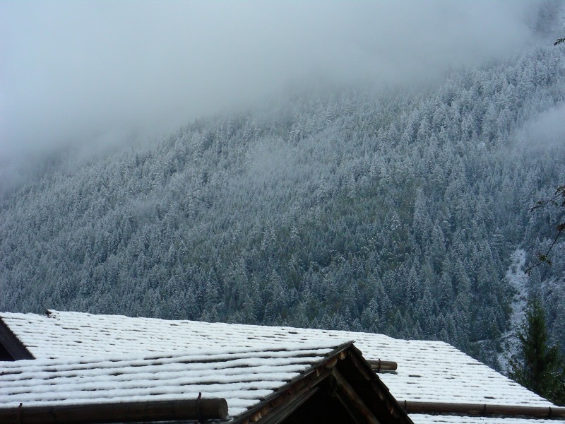 27336-dscn4762.jpg