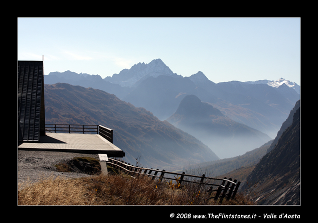 27859-valferret1.jpg
