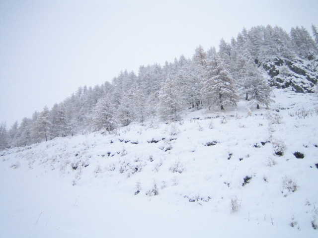 28201-002-paesaggio-invernale-1.jpg