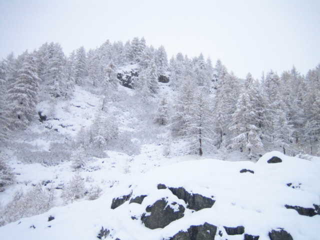 28203-004-paesaggio-invernale-2.jpg