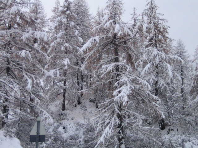 28206-008-paesaggio-invernale-4.jpg