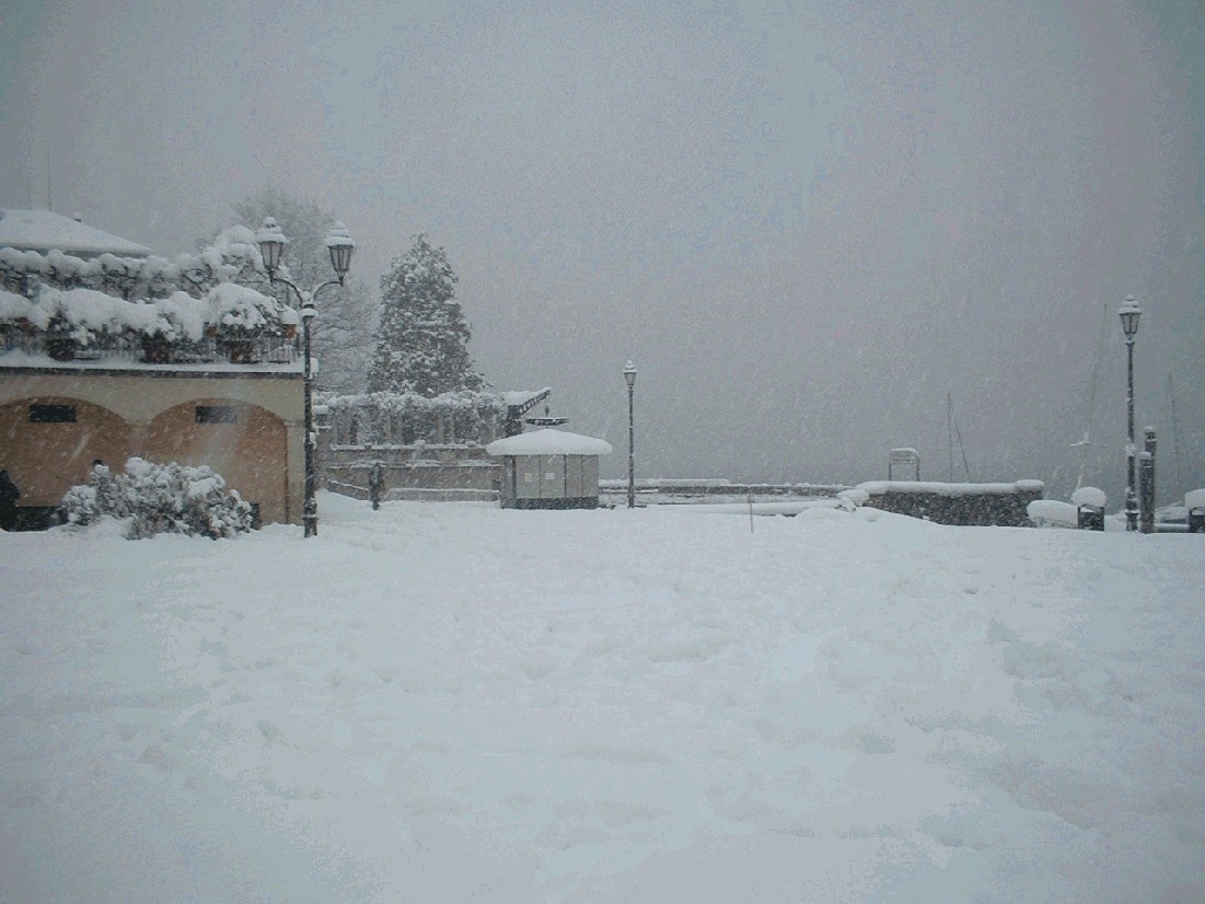 2890-20060127142423aa.jpg