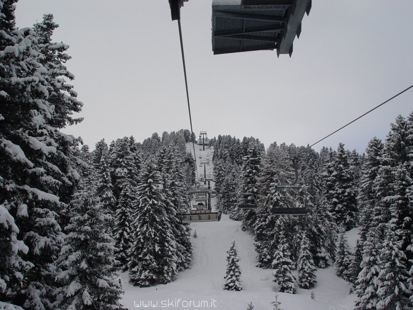 2991-alberi-pro-neve.jpg
