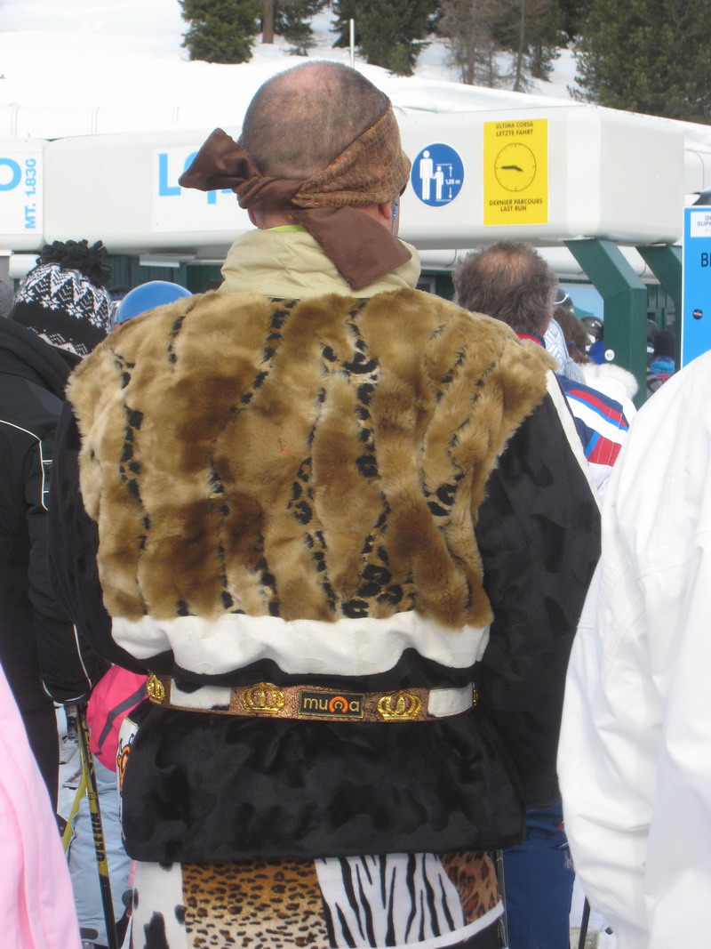 31566-leopardato.jpg