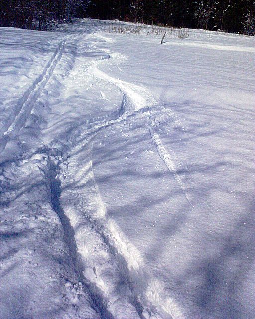 32025-dsc00355b.jpg