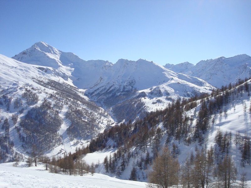 33281-dsc01288ss.jpg