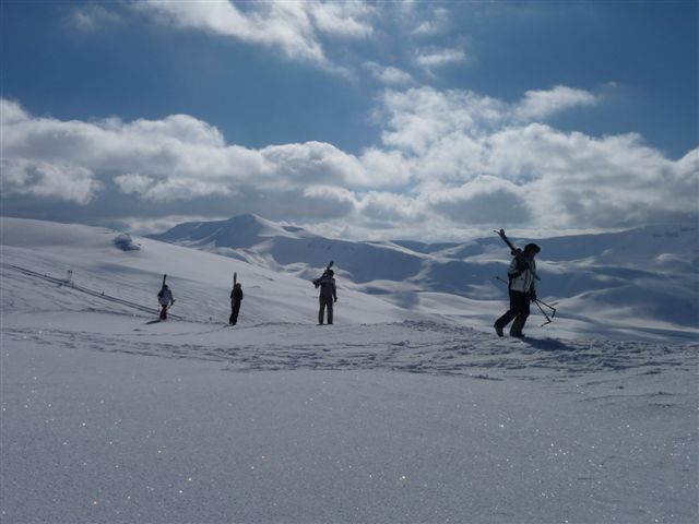 33627-p1000768.jpg