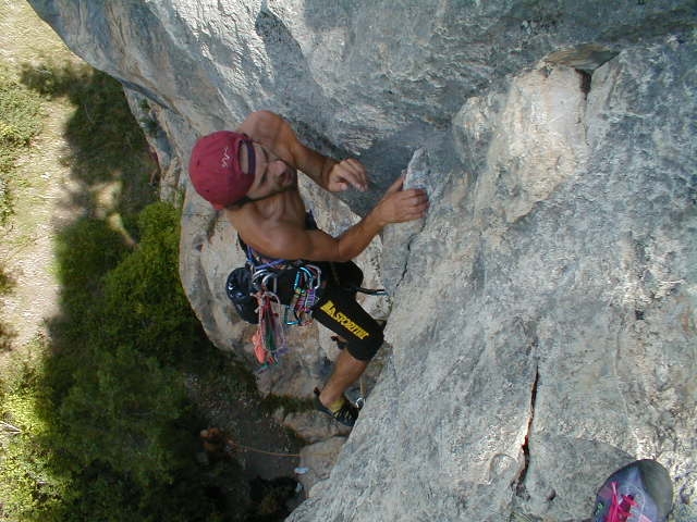33919-20006.jpg