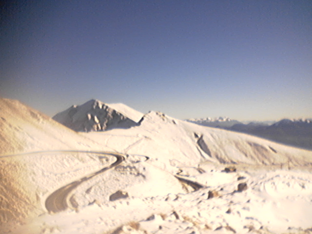 3416-p12-12-0612.52.jpg