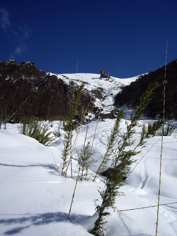 34874-cl.jpg
