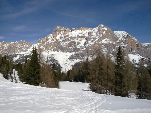 36454-immag054.jpg