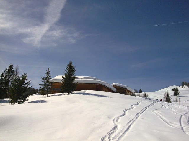 36455-immag055.jpg