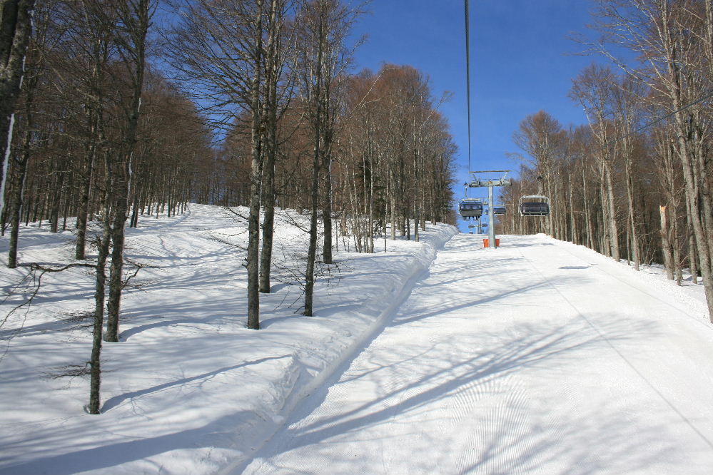37292-img7882.jpg