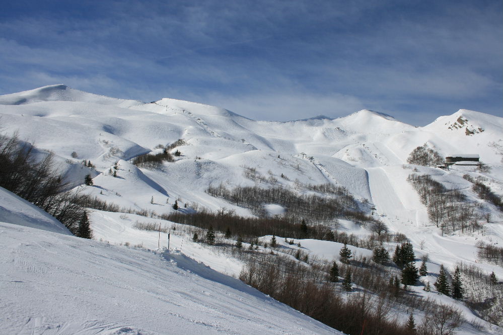 37293-img7883.jpg