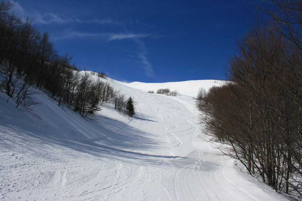 37299-img7891.jpg