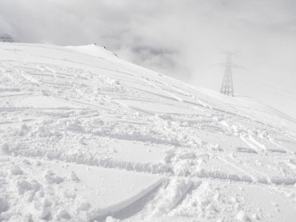 38932-10.jpg