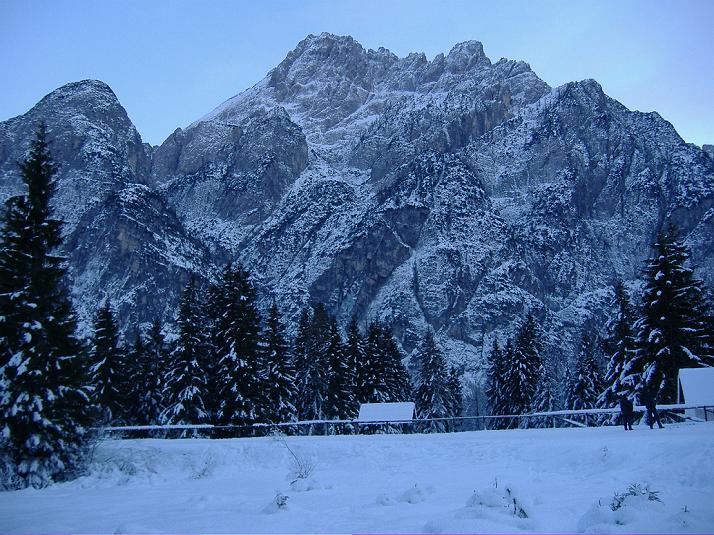 3981-jof-fuart.jpg