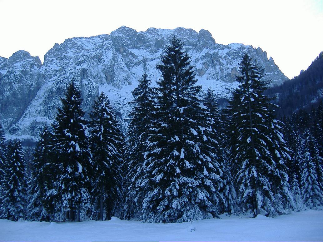 3982-lo-jof-di-montasio-visto-a-monte-della-val-saisera.jpg