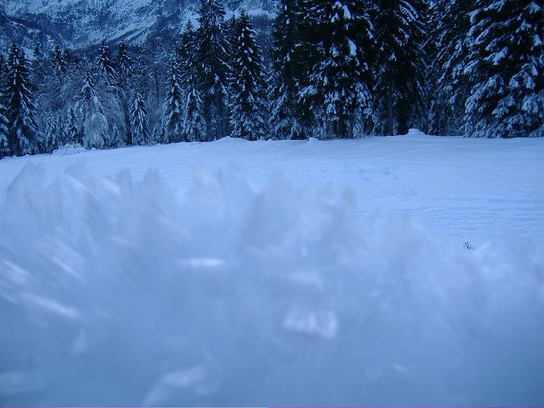 3985-val-saisera-cristalli-di-neve.jpg