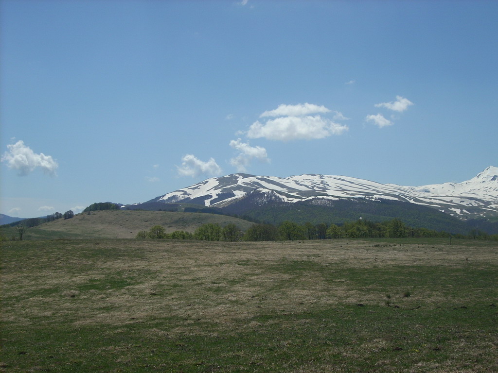 40555-5.jpg