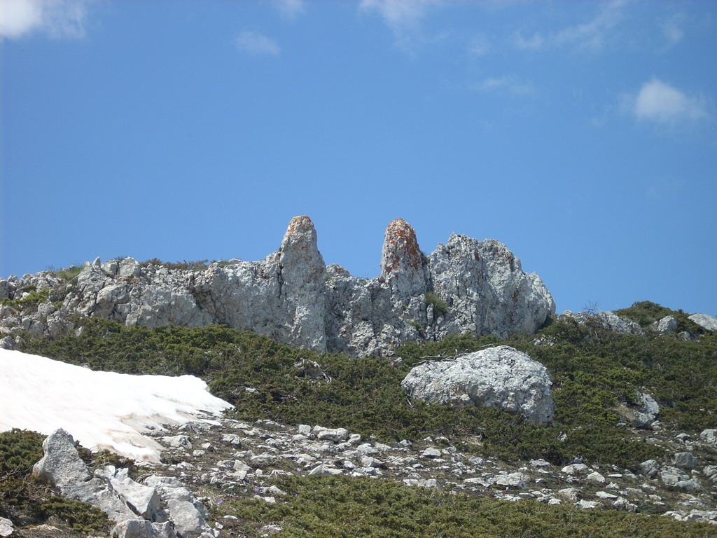 40559-8.jpg