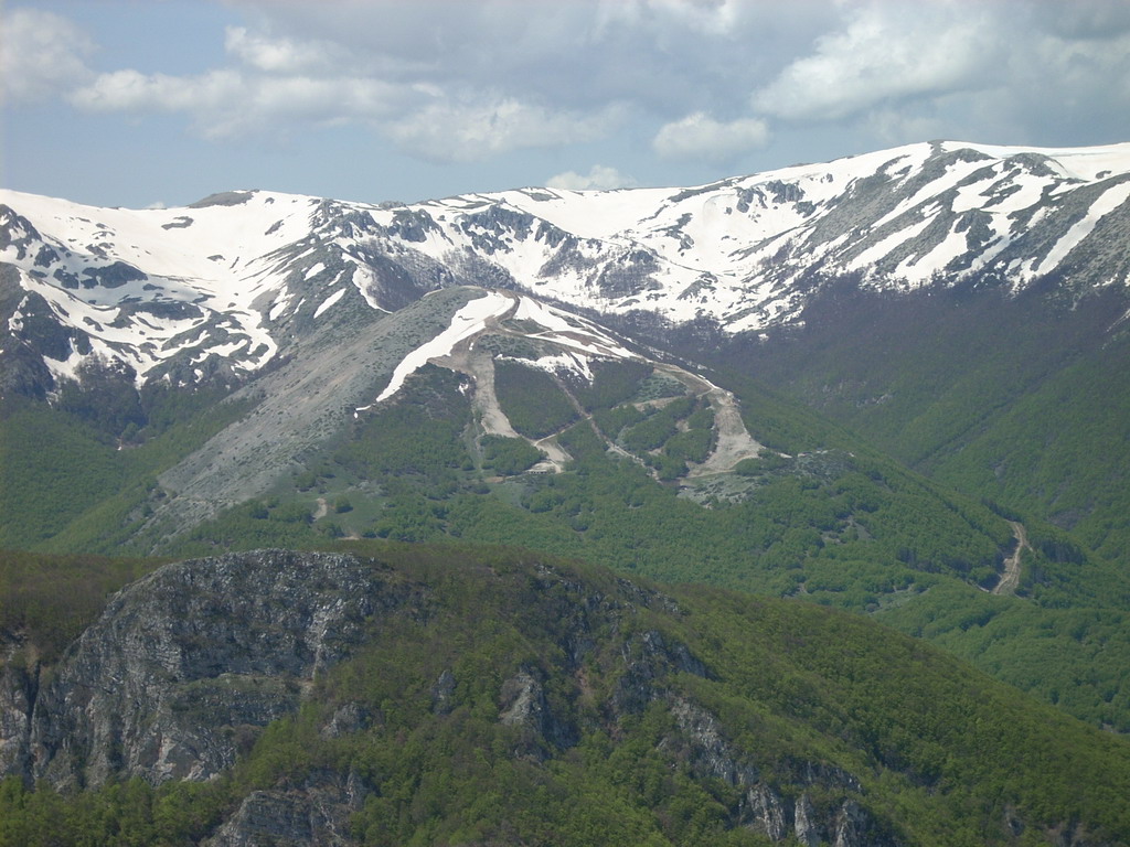 40561-10.jpg