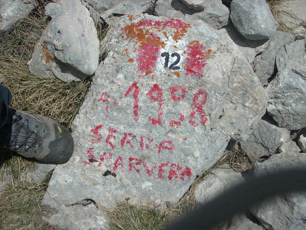 40562-13.jpg