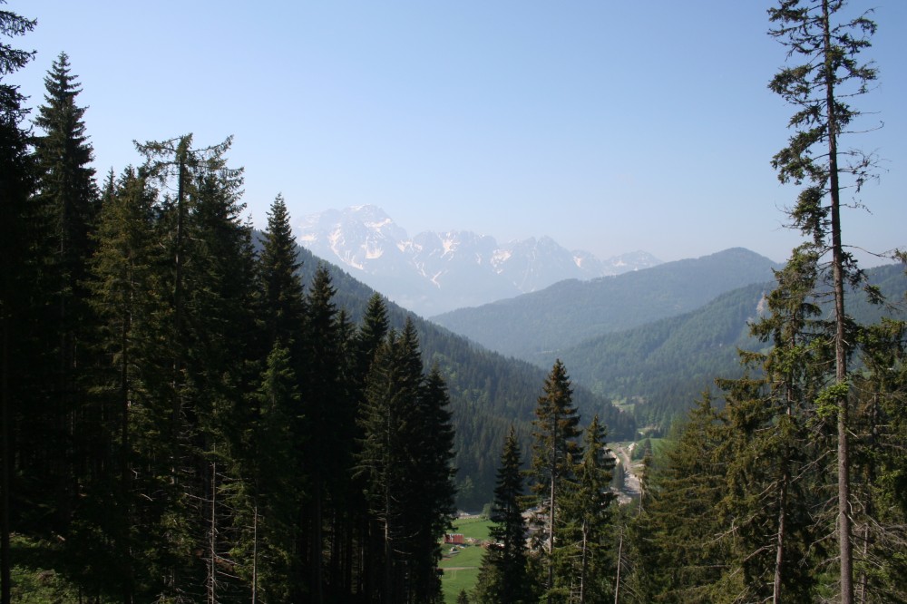 41343-osternig-23-05-09-086.jpg