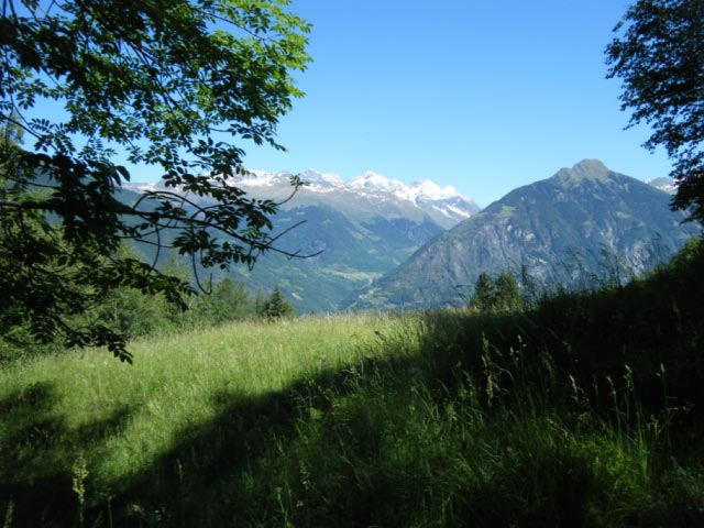 41747-dscf2095.jpg