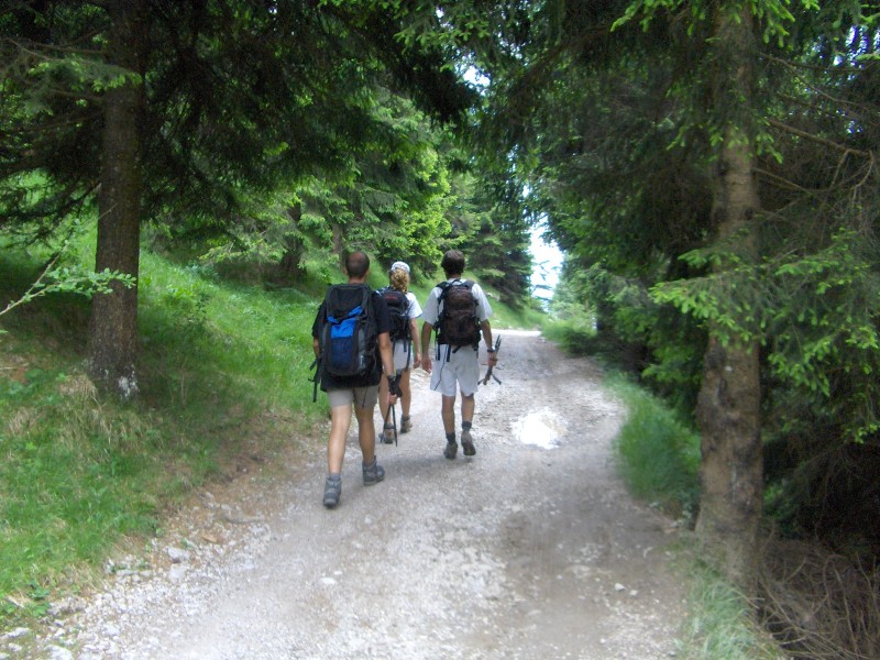 41953-hpim3888.jpg