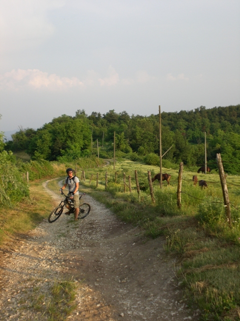 42029-mtb-torreselle-monteviale-2-luglio-2008-1.jpg