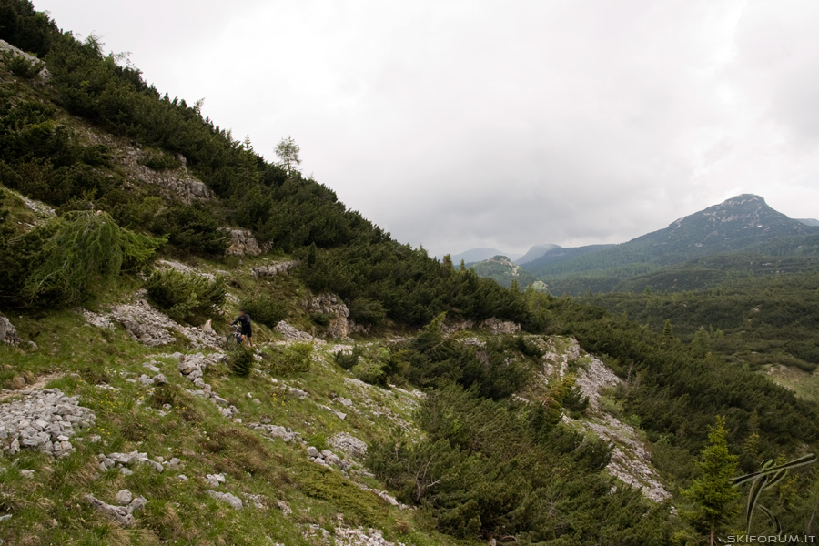 42108-mountainbike-asiago.jpg