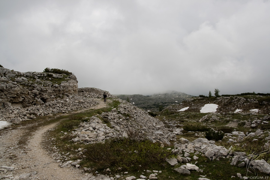 42109-ambiente-altopiano-asiago.jpg