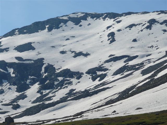 42141-p1040697.jpg