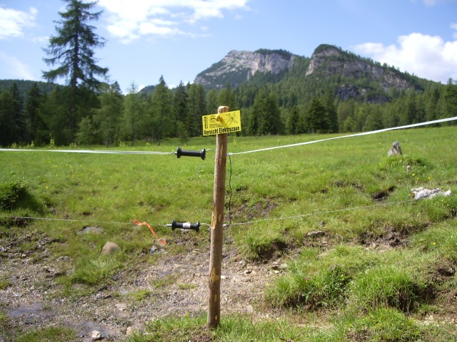 42445-imgp8697.jpg
