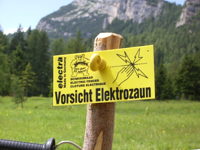 42446-imgp8698.jpg