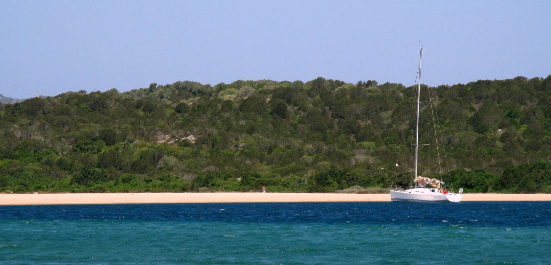42882-004coluccia.jpg