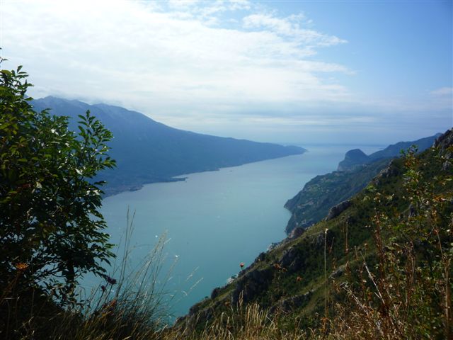 43339-p1020500.jpg