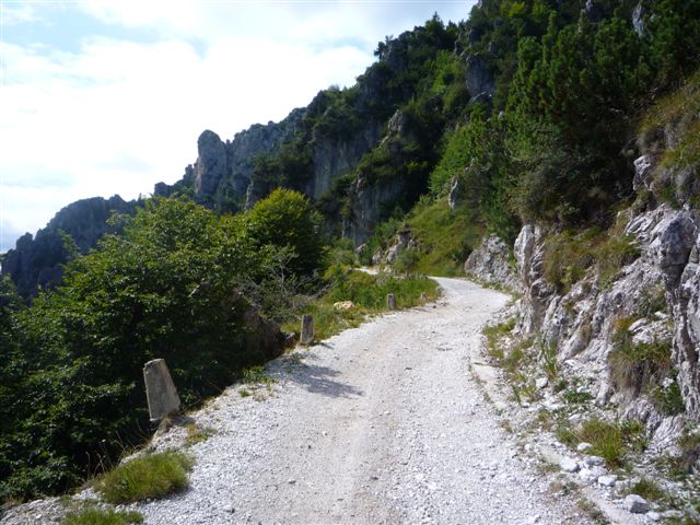 43340-p1020518.jpg