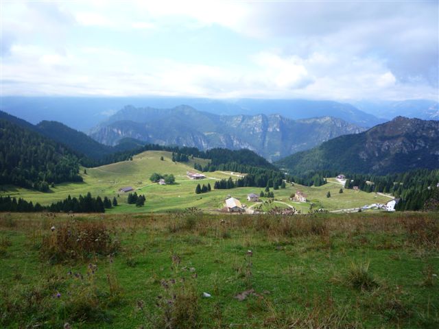 43344-p1020523.jpg