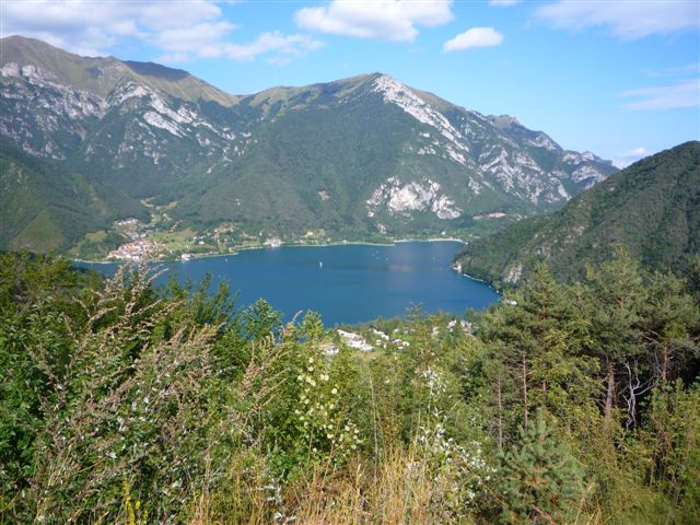 43345-p1020527.jpg
