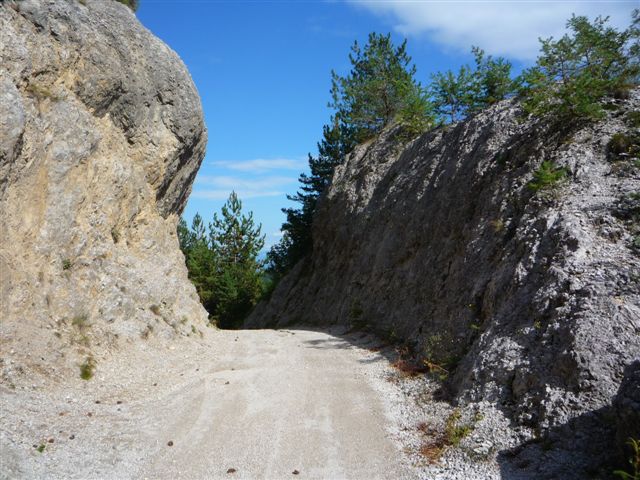 43349-p1020526.jpg